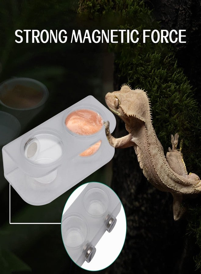 Abustle pig Magnetic Reptile Feeding Cups, Acrylic Gecko Feeding Ledge with 10 pcs Food Cups,Reptile Food and Water Dish Bowl for Geckos,Chameleon,Corn Snake,Iguana (F-2) - Image 5
